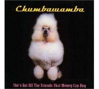 Chumbawamba - Shes Got All the Friends