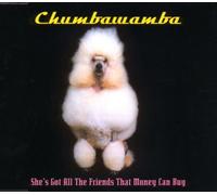 Chumbawamba - Shes Got All the Friends