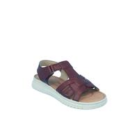 Chums Women's Dr Keller E Fit Touch Fasten Sandal in Burgundy | Size: 5 Chums Burgundy 5