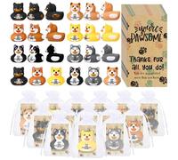Chunful 12 Set 2025 Vet Tech Week Appreciation Gift Dog Rubber Duckies Rubber Duck Dog with You're Pawsome Card Bag Thank You Gift for Veterinary Technician Doctor Nurse Coworker Clinic Decor