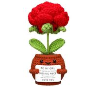 Chunful Gift for Girlfriend Romantic Wife Anniversary Birthday Gift I Love You Presents Handmade Crochet Puff Flower Ornaments for Her Valentine's Day Christmas Idea for Her (Rose to Girl)