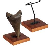 Chunful Metal Display Stand Megalodon Shark Tooth Display Holder with Wood Base for Mineral Agate, Rocks Crystal, Gemstones, Fossils, Coral Geodes, Plate and Photo