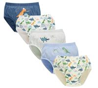 CHUNG Little Boys Toddlers Cotton Briefs 2-11Y Underwear Animal Dinosaur Car 5 Pack (7-8Y, Various Dinos)