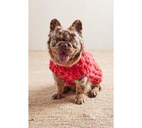 Chunky Dog Sweater by French Knot at Free People in Red, Size: Large - female