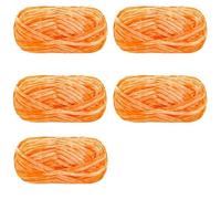 Chunky Wool 5pcs X100g Yarn Soft Velvet for Knit and Crochet Threads for Sweater Scarf Blankets(Color29)