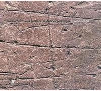 Chur De Chambre De Namur - Benoit Mernier: Missa Christ Regis Gentium; Organ Inventions