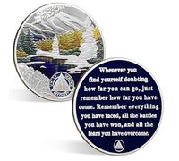 CHURYUML 1 Month Sobriety Coin 30 Day Sobriety Chip One Month AA Coins Recovery Medallions Sobriety Gifts for Men Women Sober Token Alcoholics Anonymous Gift with Capsule, Display & Card