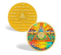 CHURYUML 13 Year Sobriety Coin - One Day at a Time Sober Chip, Affirmation AA Coins Recovery Medallions Alcoholics Anonymous Token Sobriety Gifts for Women & Men Celebrating Milestones in Sobriety