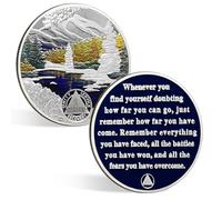 CHURYUML 2 Month Sobriety Coin 60 Day Sobriety Chip Two Month AA Coins Recovery Medallions Sobriety Gifts for Men Women Sober Token Alcoholics Anonymous Gift with Capsule, Display & Card