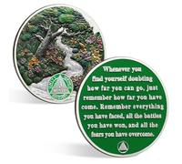 CHURYUML 3 Month Sobriety Coin 90 Day Sobriety Chip Three Month AA Coins Recovery Medallions Sobriety Gifts for Men Women Sober Token Alcoholics Anonymous Gift with Capsule, Display & Card