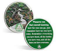 CHURYUML 5 Month Sobriety Coin Five Month Sobriety Chip Non-Religious AA Coins Sobriety Gifts Sober Affirmation Token Alcoholics Anonymous Addiction Recovery Gift with Capsule, Display & Card