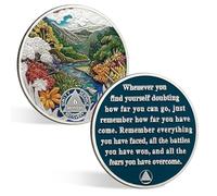 CHURYUML 6 Month Sobriety Coin 180 Day Sobriety Chip Six Month AA Coins Recovery Medallions Sobriety Gifts for Men Women Alcoholics Anonymous Gift with Capsule, Display & Card