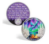CHURYUML One Day at a Time 90 Day Sobriety Coin - Guided by The Light Sober Chip, 3 Month AA Coins Recovery Medallions Inspirational Three Month Sobriety Gifts for Women & Men Celebrating Milestones