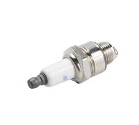 Chuuparts GL4RC BR2LM RJ19LMC 131-019 Spark Plug Compatible with Torch Compatible with NGK Compatible with Champion