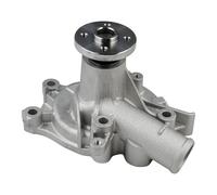 Chuuparts Water Pump 1232510 220036684 16100U210071 Compatible with Clark Forklift C20 C25 CGC25 CGX25 Compatible with Caterpillar Forklift 4G63 FGC15 FGC18 FGC20 FGC25 4G6