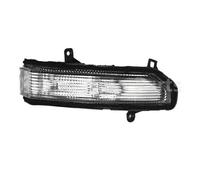 Chwqfuhf Mirror Indicator Light For LDV For Maxus For Deliver 9 V90 Door Mirror Indicator Lamp Rearview Turn Signal Light(Right)