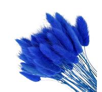 ChYoung 50pcs Fluffy Dried Bunny Tails Pampas Grass Decor, Multi-Colored Artificial Flowers Bouquet for Wedding Boho Home Table Decor Rustic Farmhouse Party Supplies