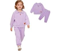 ChYoung Boys Girls Kids Tracksuit Velour Long Sleeve Pullover and Sweatpants Set 2 Piece Velvet Sweatshirt Tops and Pants (UK, Age, 12 Months, 18 Months, Purple)