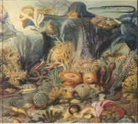 Chypho - Episodes In Oceanography Vol.2