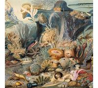 Chypho - Episodes In Oceanography Vol.2 [VINYL]