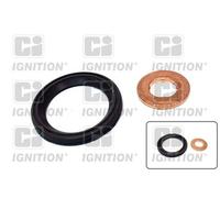 Ci Ignition XPSI162K Engine Injector Protector