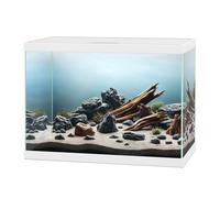 Ciano Aqua 15 Aquarium White 13 litre Starter Fish Tank Filter and Lid