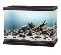 Ciano Aqua 15 Glass Aquarium Includes Filter - BLACK