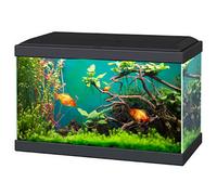 Ciano Aqua 20 Classic Aquarium Black With Filter Beginner Fish Tank