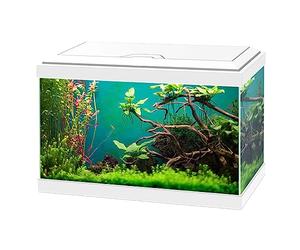 Ciano Aqua 20 Classic Aquarium Fish Tank - White