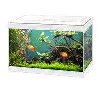 Ciano Aqua 20 Classic Aquarium White With Filter Beginner Fish Tank