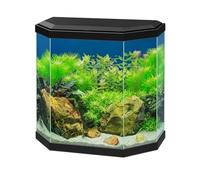 Ciano Aqua 30 Black LED Hexagonal Children's Stylish Cold Water Gold Fish Tank