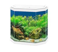 Ciano Aqua Aquarium 30 Hex White Lighting Hood Filter Beginner Fish Tank