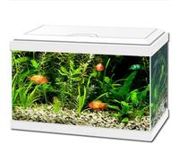 Ciano Aqua 20 Aquarium with LED Lights & Filter WHITE