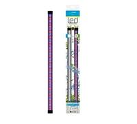 Ciano CLA 60/80 LED Light Unit - Fits Aqua 60 & 80 Aquariums (PINK/BLUE)