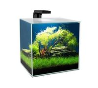 Ciano Cube Glass Aquarium Includes LED Lights & Filter (Cube 15 (14 Litres))