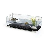 CIANO : Turtle Aquarium: Glass, 34.4L