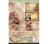 Ciao Bella Paper PAD A4 9/PKG, The Muse, 9 Designs/1 Each, One Size, CBCLE028
