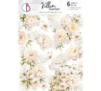 Ciao Bella Vellum Always Forever A4 Paper 6 Sheets