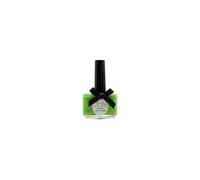 Ciate Paint Pot Nail Polish 13.5 ml PP135 Palm Tree