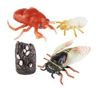 Cicada Growth Cycle Set Simulation Animal for Children Kids Boy Girls