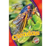 Cicadas