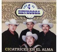 Cicatrices En El Alma