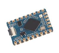 ciciglow RP2040 Tiny Development Board with Dual Core Processor, 20 GPIO Pins, Dormant Mode, Separate Design, for RasPi Development Board