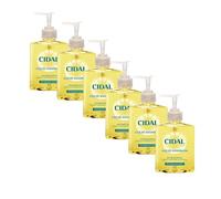 Cidal Handwash, natural grapefruit extract, antibacterial, uplifting Citrus scent, Vegan friendly, 250ml (Pack Of 6)