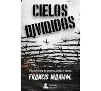 Cielos Divididos: una historia de guerra, caída y amor.