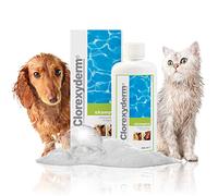 CIF I.C.F. - clorexiderm Shampoo