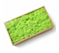 Cigarlemon Preserved Reindeer Moss, 17.64oz Natural Decorative for Home Decor, DIY Crafts, Moss Wall Art, Terrariums, Floral Arrangements, Wedding & Holiday Decorations (Light Green)