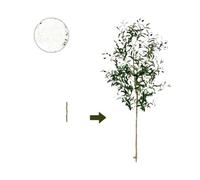 CIGPKLO Fake Tree Branches 120-180CM Artificial Olive Tree Branch Without Pot Modern Minimalist Fake Plant for Home garden Living Room Balcony shops Decor(160cm)