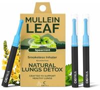 Cigtrus Mullein Leaf Smokeless Inhaler Pack - Nicotine-Free, Smoke-Free, Craving Support, Pocket-Size Inhalers, Compact Travel-Friendly - Contains Mullein Leaf Extract (Spearmint 3-Piece)