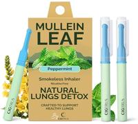 Cigtrus Mullein Leaf Smokeless Inhaler Pack - Nicotine-Free, Smoke-Free, Craving Support, Pocket-Size Inhalers, Compact Travel-Friendly - Contains Mullein Leaf Extract (Peppermint 3-Piece)